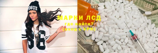 прущие грибы Дмитров