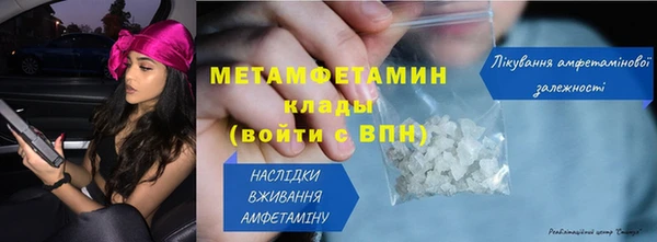 прущие грибы Дмитров