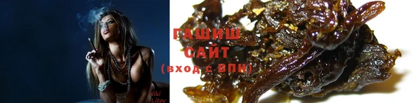 прущие грибы Дмитров