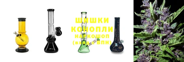 прущие грибы Дмитров