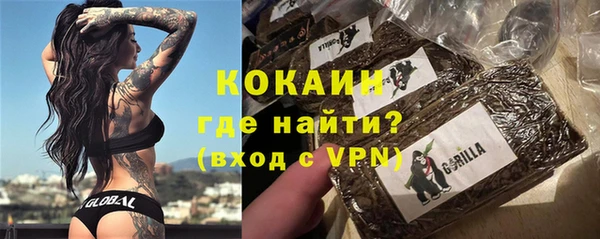 прущие грибы Дмитров