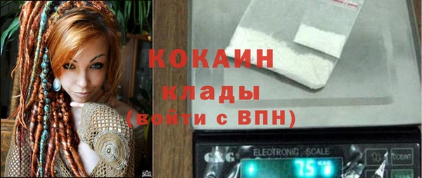 прущие грибы Дмитров