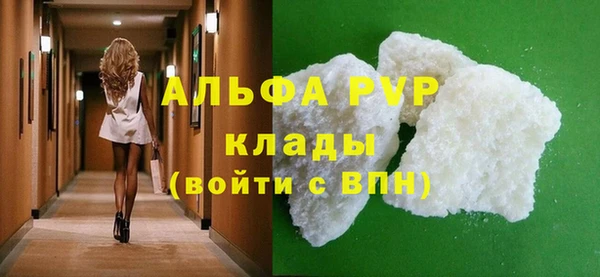 прущие грибы Дмитров