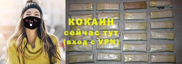 прущие грибы Дмитров