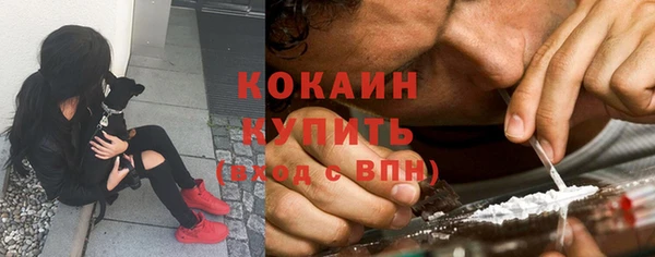 прущие грибы Дмитров