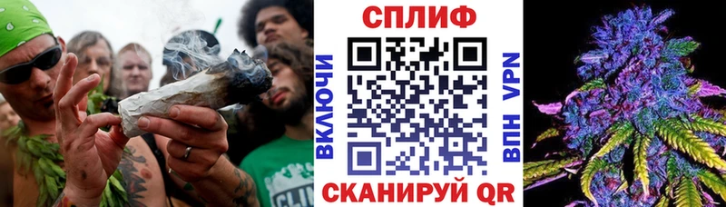 Каннабис OG Kush Гусиноозёрск